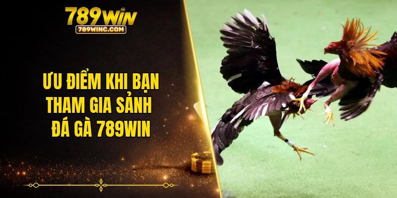 Ưu điểm khi bạn tham gia sảnh đá gà 789WIN